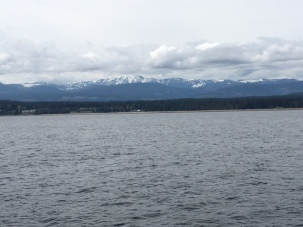 Vancouver island mountains